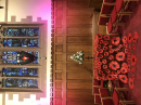 Poppy fall in the chancel 